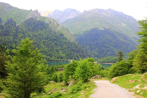 Pirenejów w lecie, jezioro — Zdjęcie stockowe