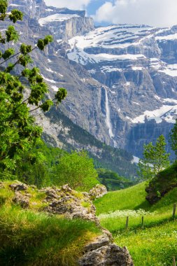 Yaz aylarında Pirene Dağları