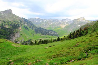 Yaz aylarında Pirene Dağları