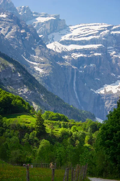 Lato w Pirenejach — Zdjęcie stockowe