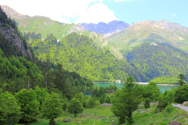 Summer in the Pyrenees mountains — Stock Photo, Image