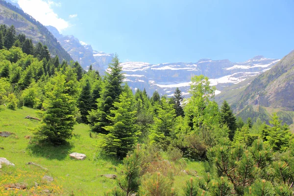 Summer in the Pyrenees mountains — Stock Photo, Image