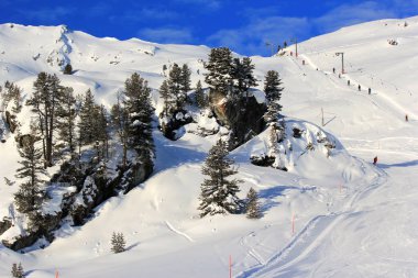 İsviçre'deki Kayak, Alp Dağları 