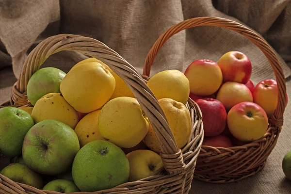 Two Baskets Different Varieties Apples Burlap Background — Stock Photo, Image