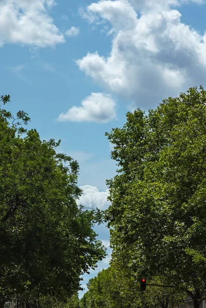 Arrière Plan Route Travers Les Arbres Ciel Avec Des Nuages — Photo