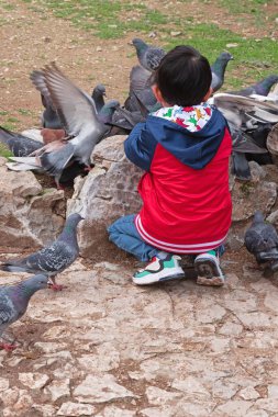 Çocuğun parkta beslediği bir güvercin sürüsü. Küçük çocuğun dikey oryantasyon fotoğrafı