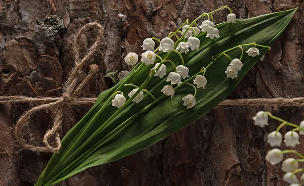 Flores Blancas Primavera Sobre Fondo Corteza Madera Lirio Plata Del —  Fotos de Stock