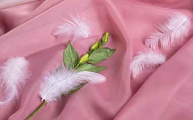 delicate twigs of flowers with buds on a pink silk background among white feathers. Romantic postcard