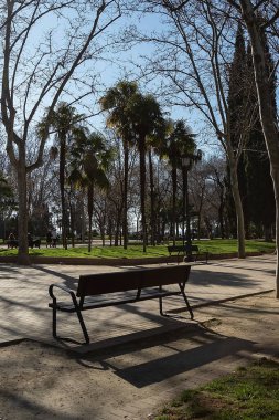 ordinary city landscape in the park. Footpath with a bench on a background of trees on a sunny day