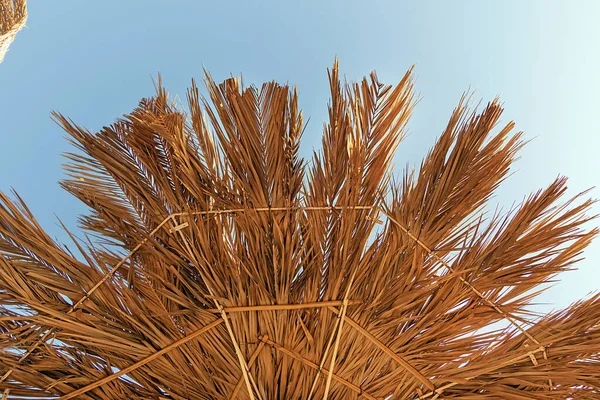 乾燥したヤシの葉の抽象的な背景 空に対するビーチの傘の下のビュー — ストック写真