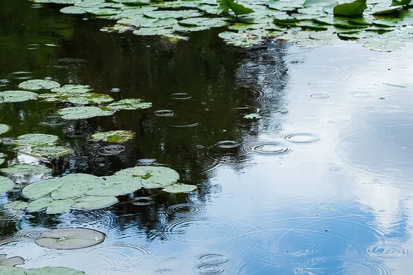 Fondo Lluvioso Con Ondulaciones Reflejo Del Cielo Agua Con Hojas —  Fotos de Stock