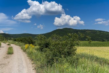 Kırsal alanda yol ve mavi gökyüzü