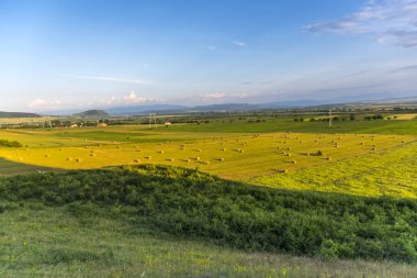 Yazın İspanya kırsalının hava manzarası