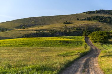 Yol ve yeşil arazili kırsal alan