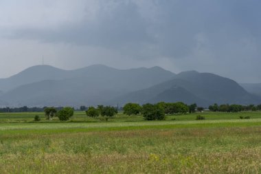 Yeşil tarlalı ve bulutlu manzara