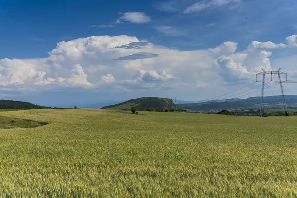 Blick Auf Das Feld Der Weizen Und Maisfelder — Stockfoto