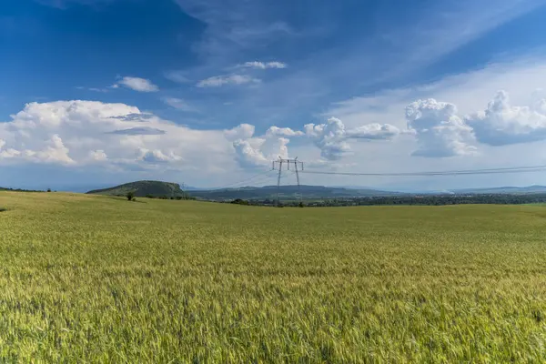 Weizenfeld Und Wolkenverhangener Himmel — Stockfoto