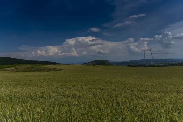 Campo Trigo Céu Azul — Fotografia de Stock