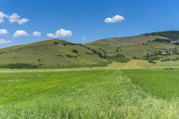 Sommerlandschaft Mit Grünem Gras Und Blauem Himmel — Stockfoto