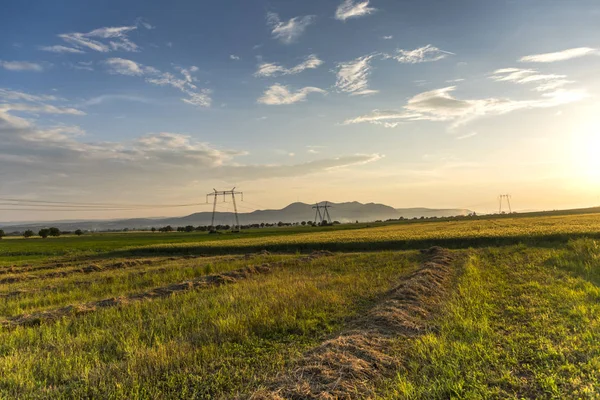 Puesta Sol Sobre Campo —  Fotos de Stock