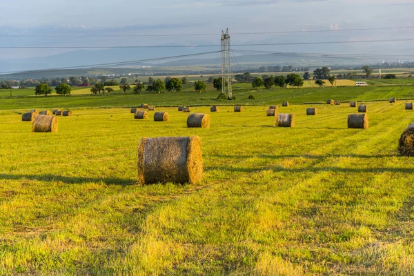 Balles Foin Sur Terrain — Photo