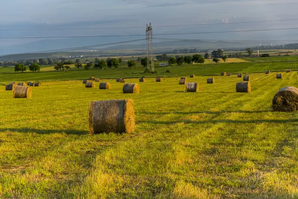 Balles Foin Sur Terrain — Photo