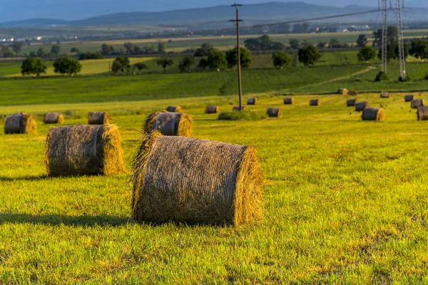 Balles Foin Sur Terrain — Photo