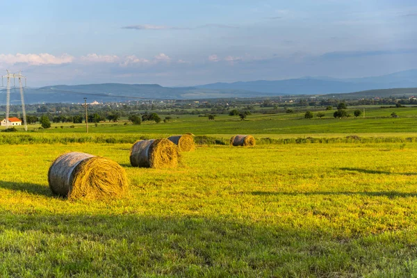 Balles Foin Sur Terrain — Photo