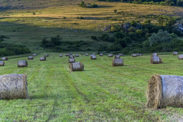 Szénabálák Pályán — Stock Fotó