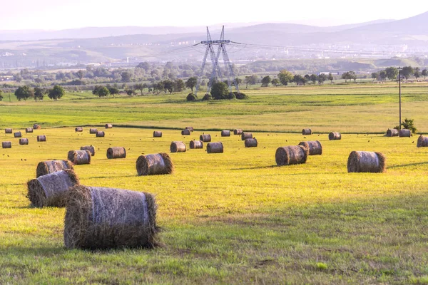 Nyári Táj Szénabálákkal Területen — Stock Fotó