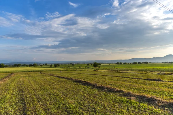 Grüne Wiese Und Blauer Himmel — Stockfoto