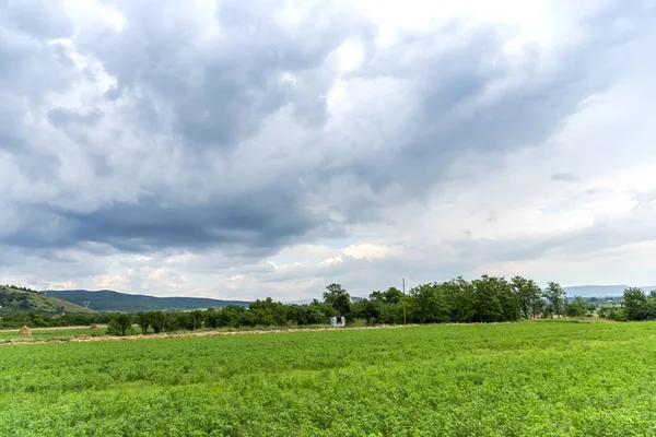 Grüne Wiese Und Wolken Himmel — Stockfoto