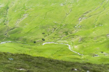 yeşil çimen ve dağ