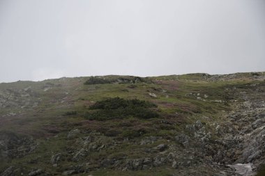 Dağ ve nehir manzarası