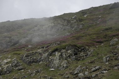 Yeşil çimenler ve dağlarla kaplı dağ manzarası