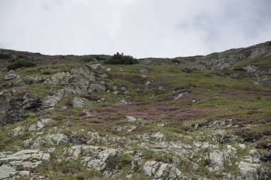 Dağlarla kaplı dağ manzarası