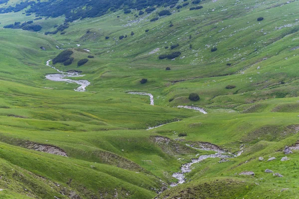 Yeşil çimenler ve dağlarla kaplı dağ manzarası