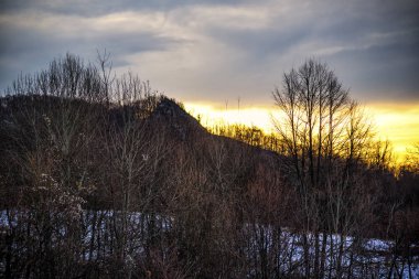 Karla kaplı ağaçlarla kaplı kış manzarası