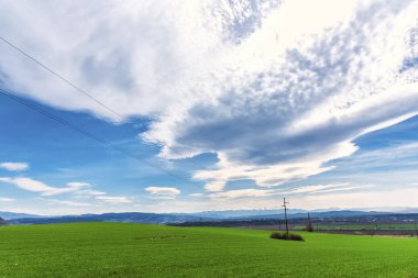 Yazın dağın manzarası