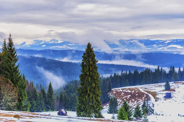 Winterlandschap Met Besneeuwde Bomen — Stockfoto