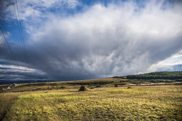Сельский Пейзаж Травой Зелеными Полями — стоковое фото