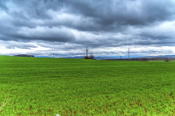 Paisagem Rural Com Grama Verde Flores — Fotografia de Stock