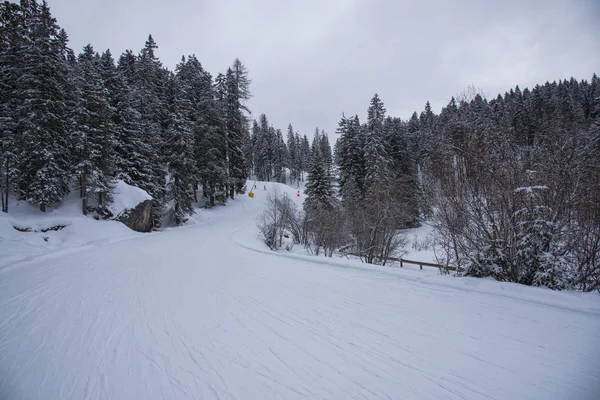 Winterlandschap Met Besneeuwde Bomen — Stockfoto