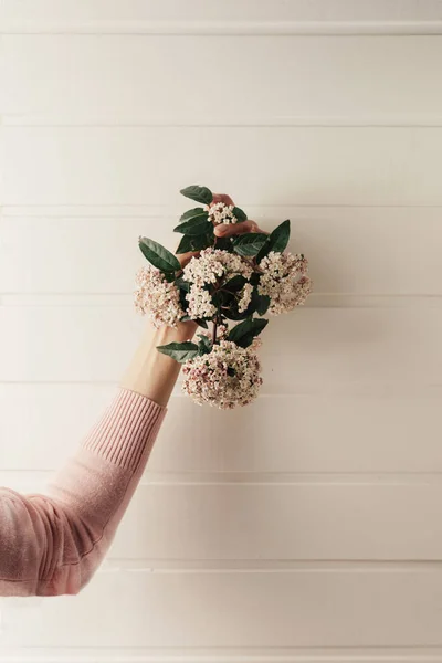 hands holding a small bouquet of pink flowers