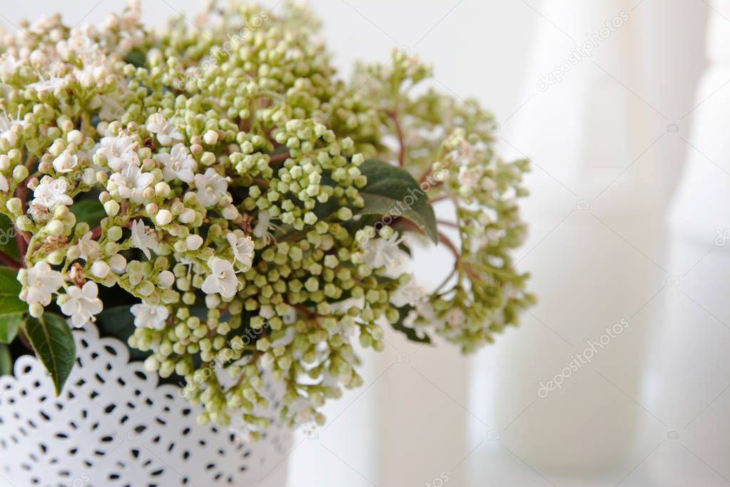 bouquet of white flowers in vase 