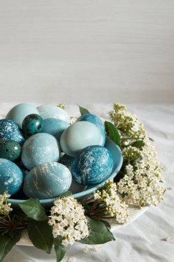 Beyaz çiçeklerle çevrili doğal olarak boyalı Paskalya mavi yumurta,.