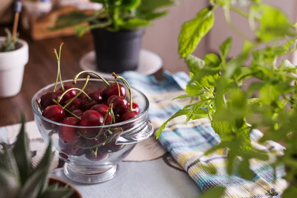 Ecological Cherries Glass Bowl Table — Stock Photo, Image