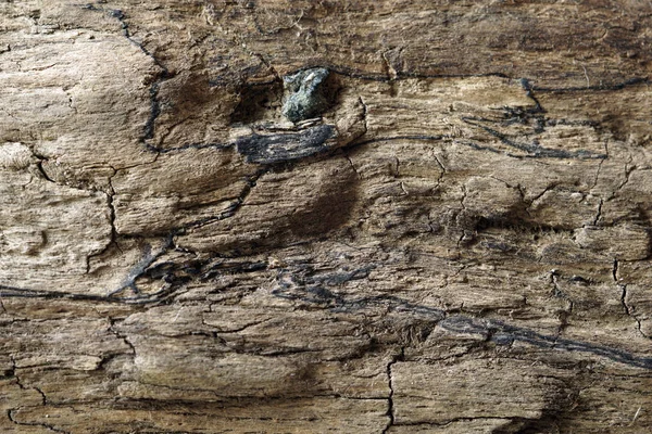 Drewniane Tło Część Starego Drewna Robak Spożywane — Zdjęcie stockowe