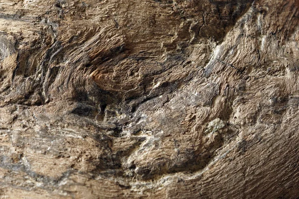 Ahşap Arka Plan Eski Solucan Yemiş Odun Parçası — Stok fotoğraf