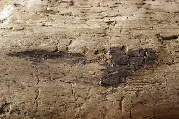 Houten Achtergrond Deel Van Oude Worm Gegeten Hout — Stockfoto